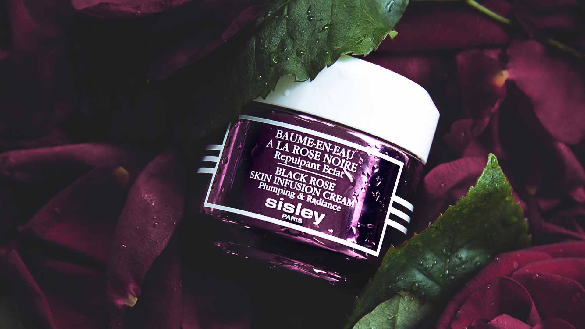 Alla scoperta della Rosa Nera: il trattamento da provare questo inverno