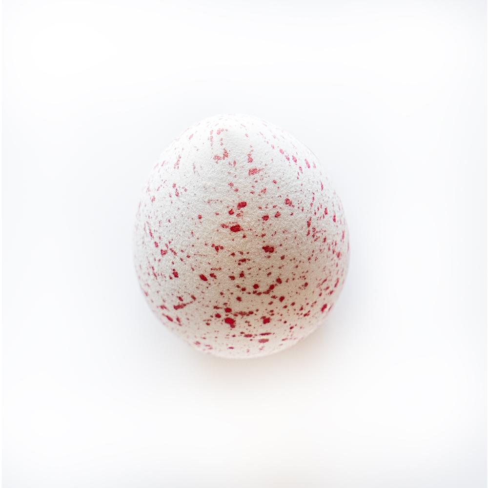 Spugna blender ovale