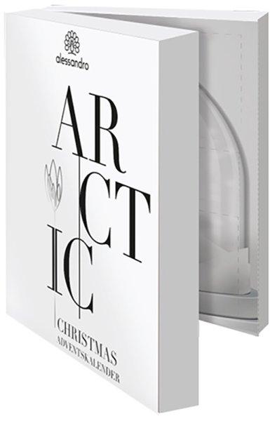 Arctic calendario dell'avvento