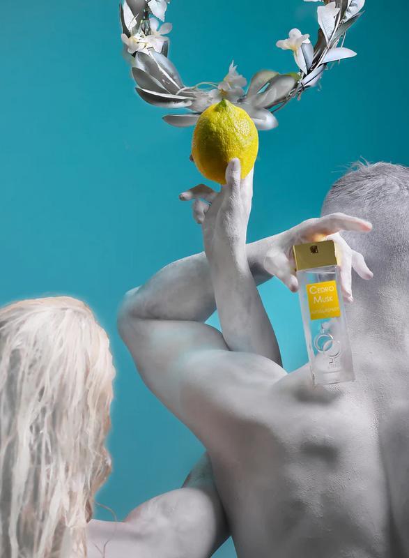 Alyssa ashley cedro musk eau de parfum