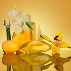 Euphoria solar elixir parfum intense for women