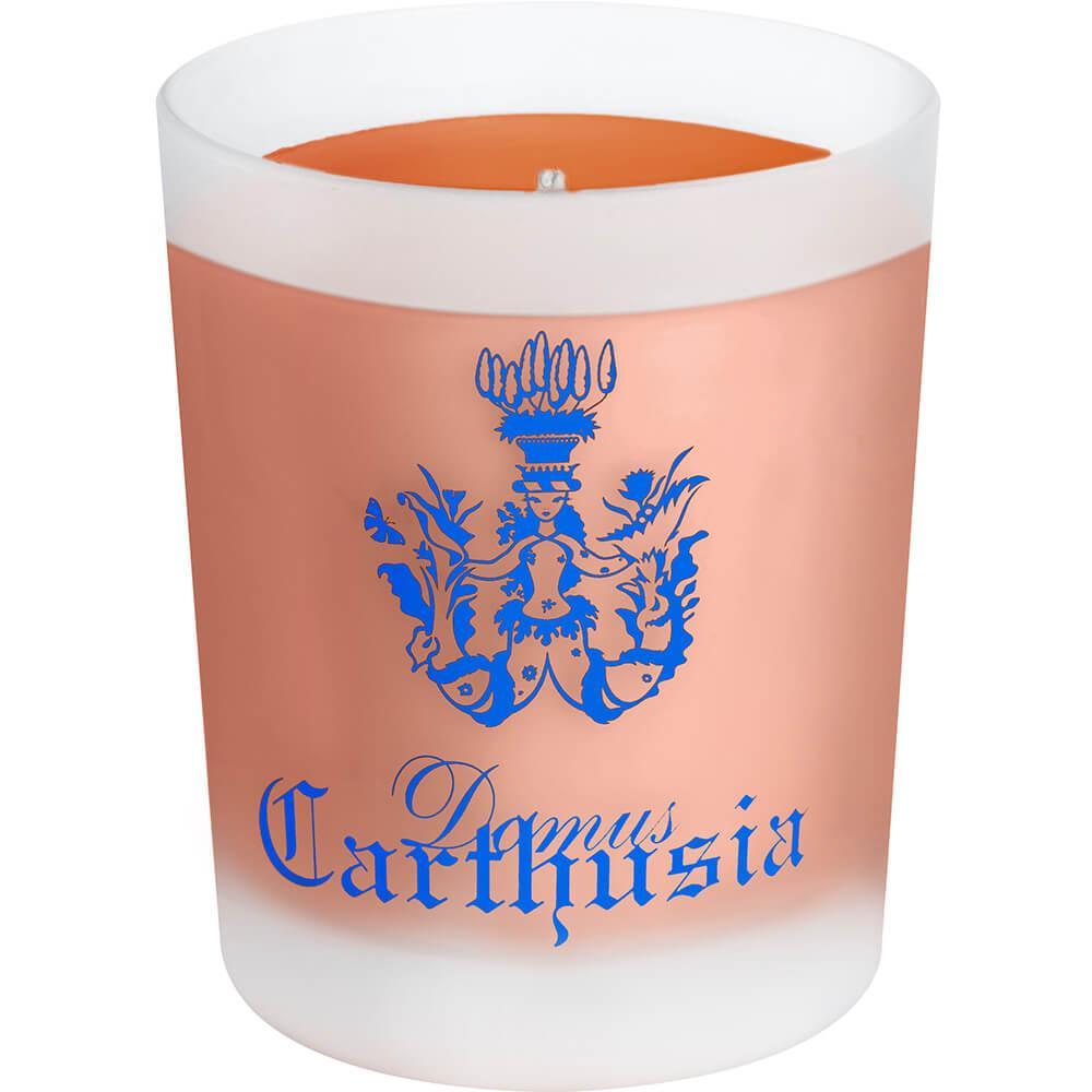 Corallium candela profumata