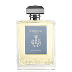Corallium profumo per ambienti