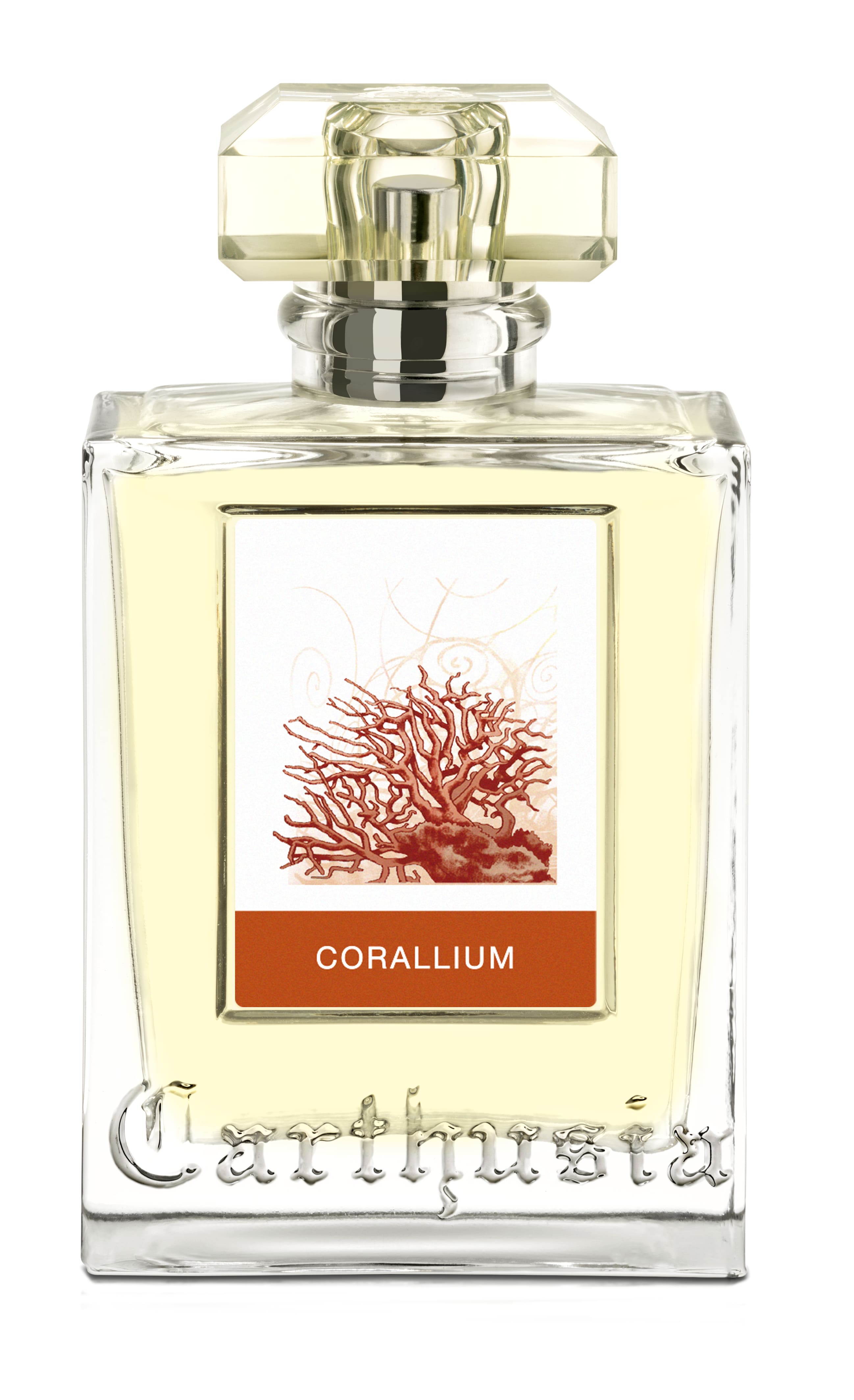 Corallium eau de parfum