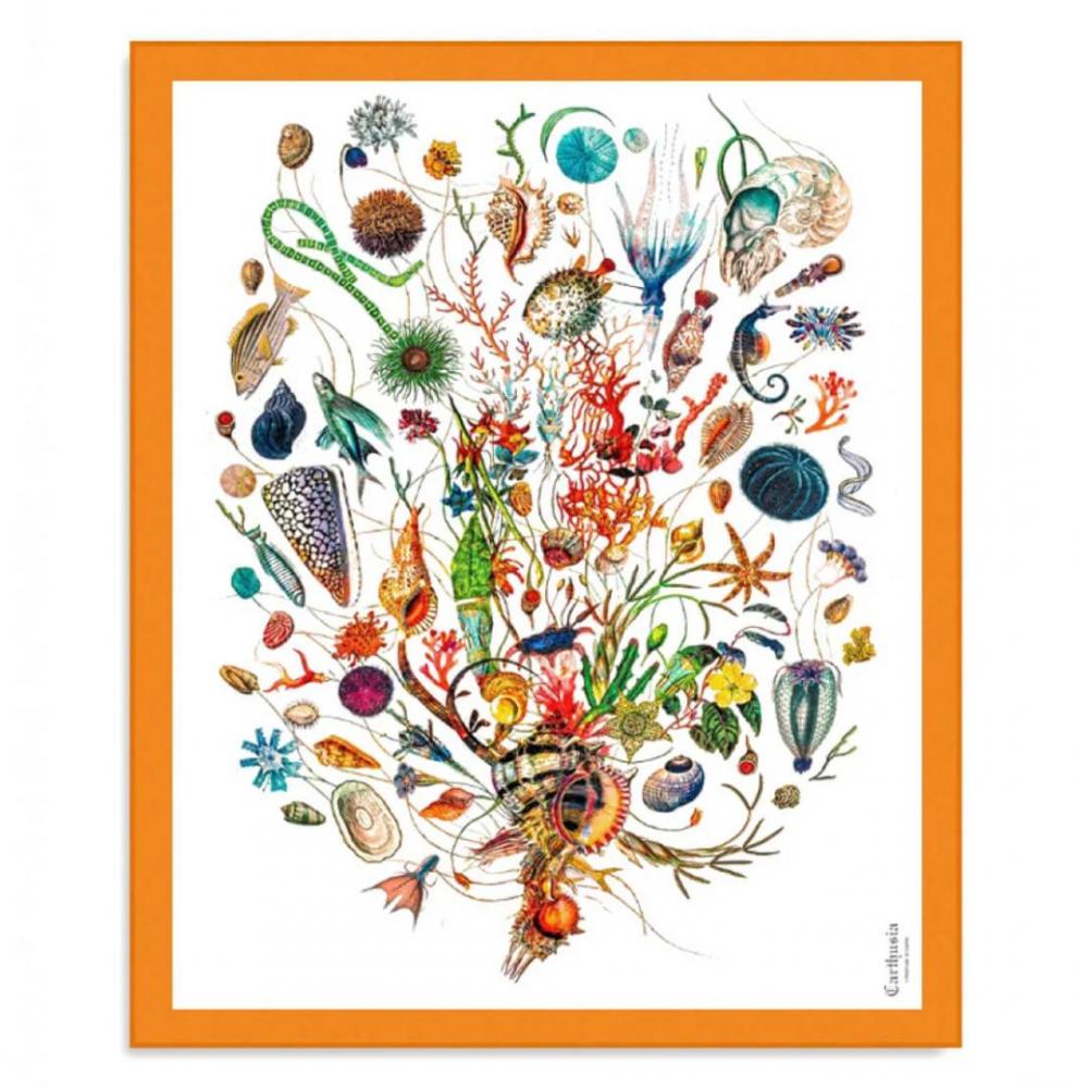 A'mmare pareo cotone – bianco e arancio