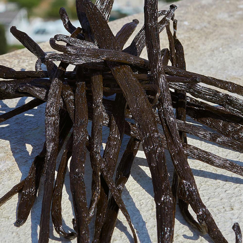 Devotion eau de parfum