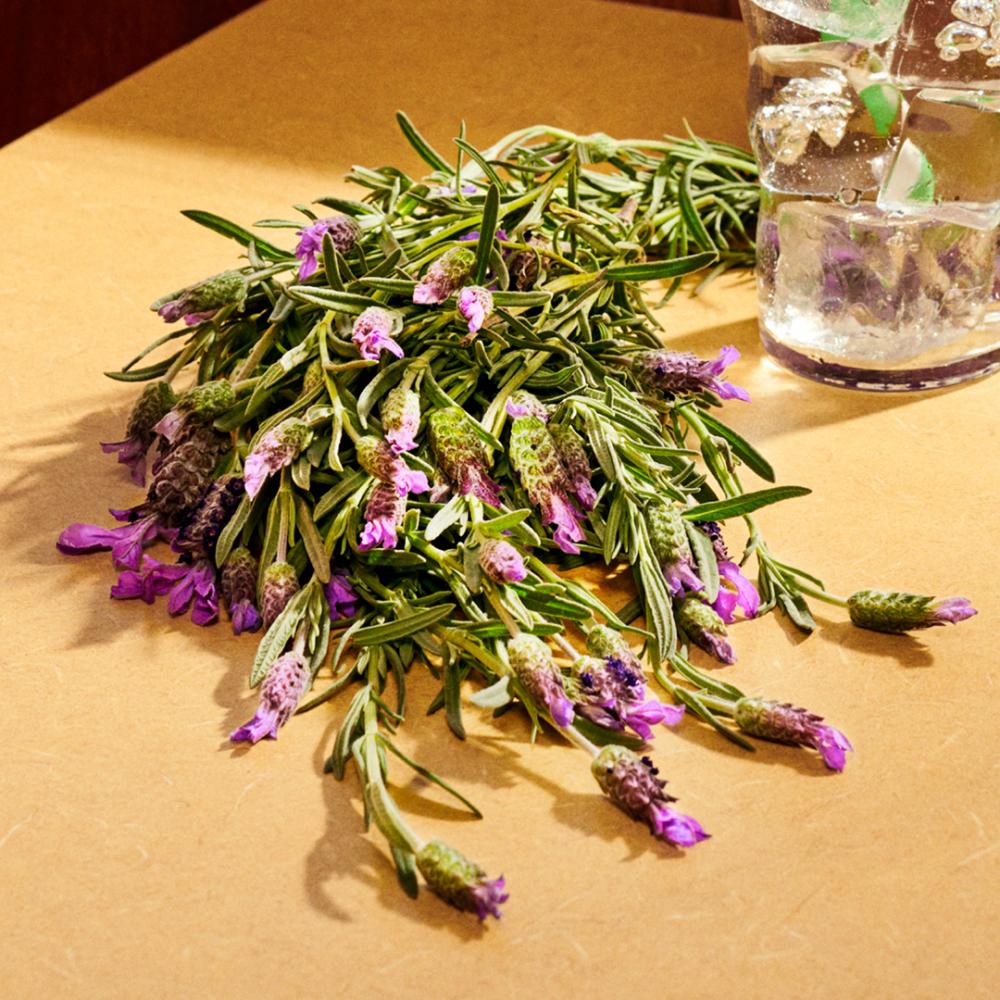 Gucci guilty parfum pour homme