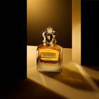 Scandal absolu pour homme parfum concentré