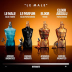 Le male elixir absolu parfum intense