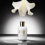 Bold collection white spirit eau de parfum