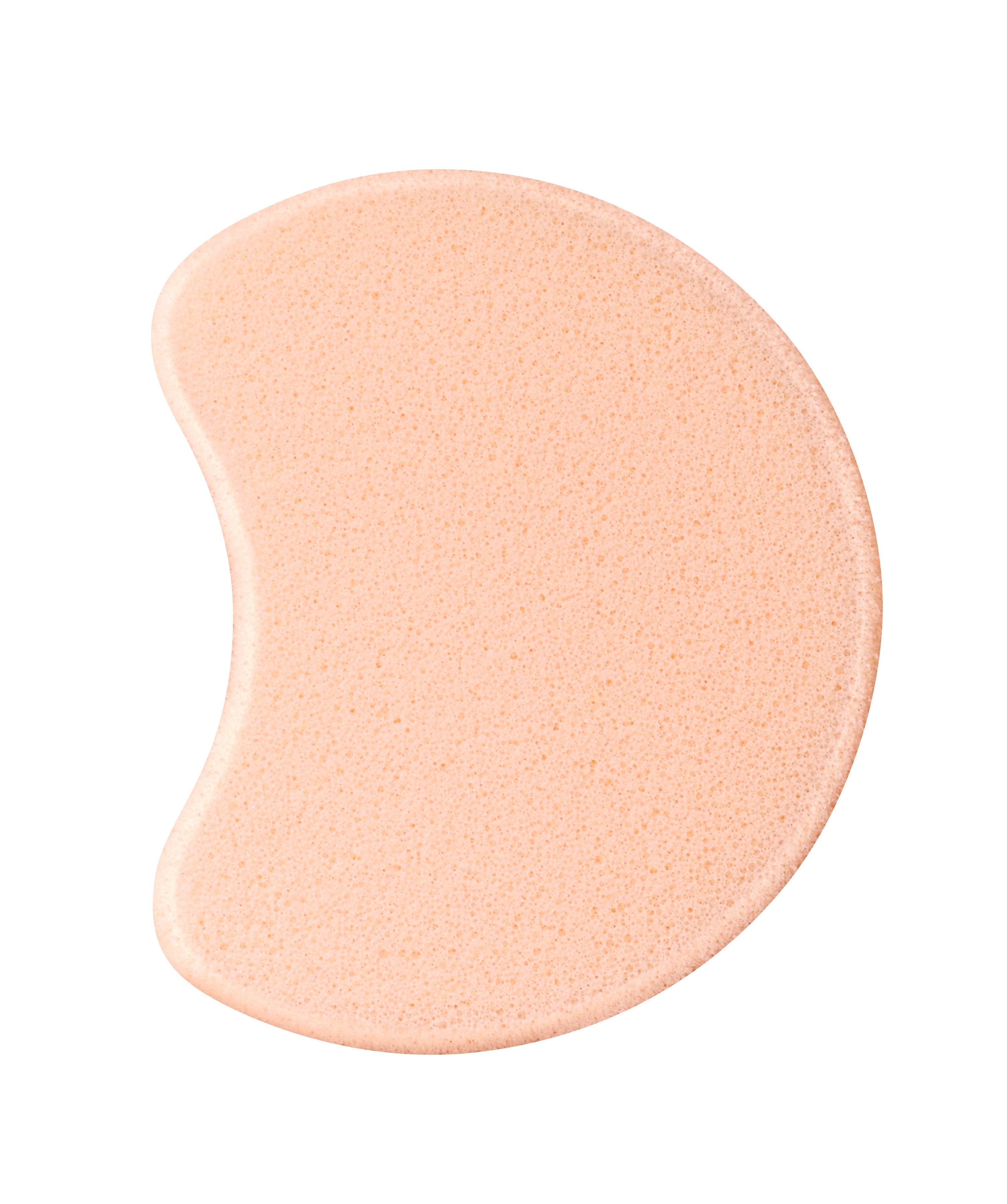 Foundation sponge