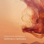 Shower gel cèdre encens