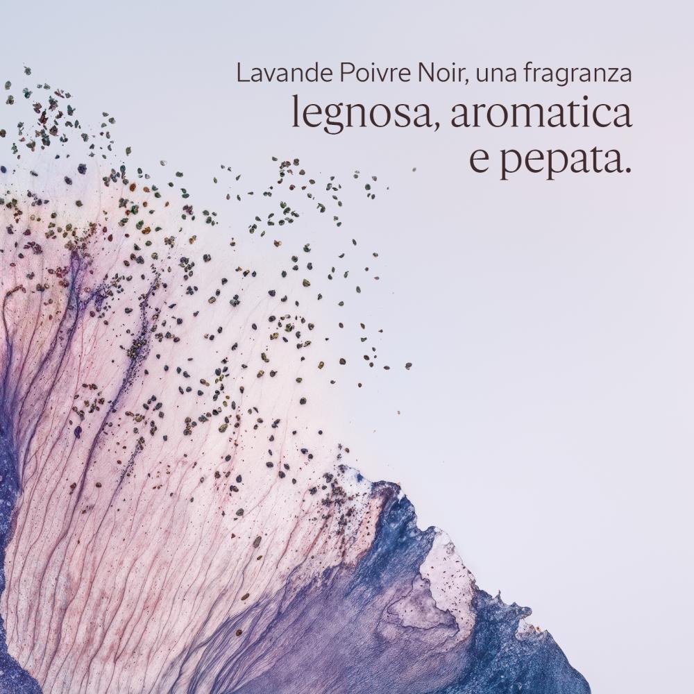 Lavande poivre noir deodorante roll-on