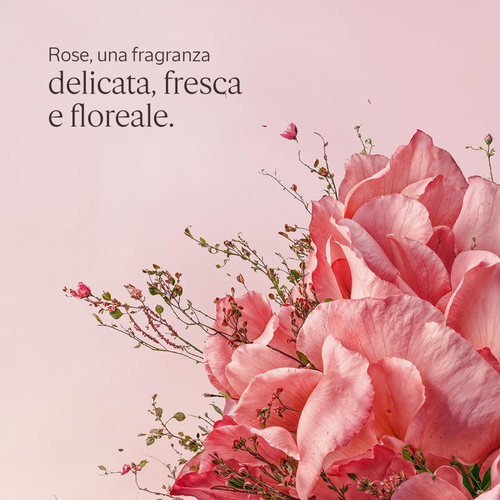 Latte corpo rosa