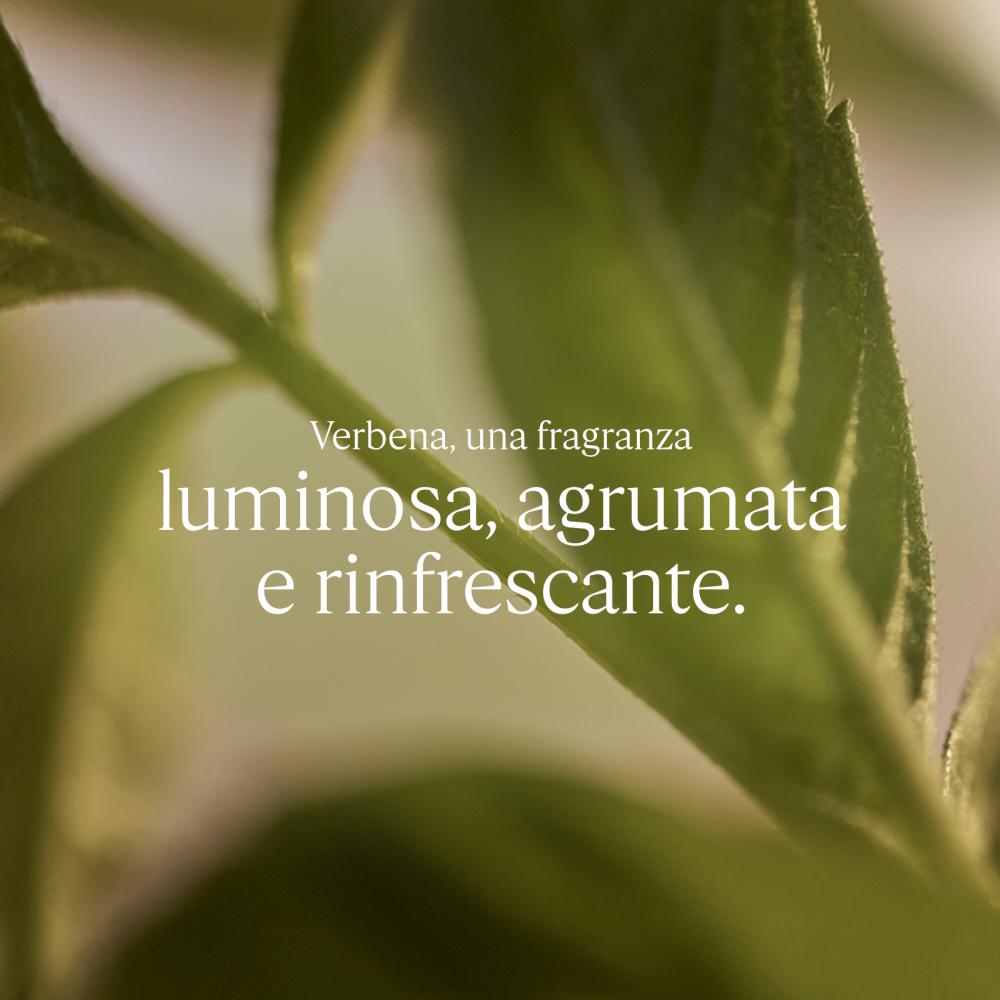 Sapone liquido verbena