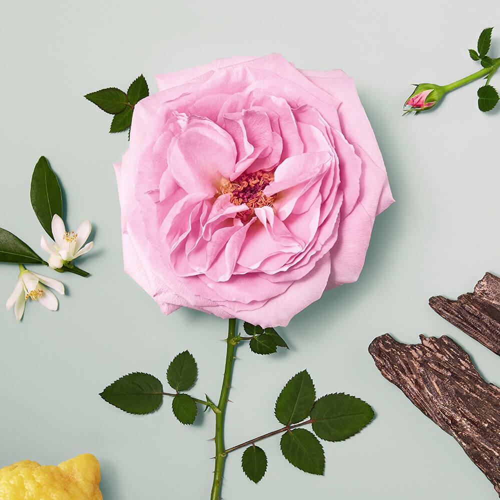 Naturelle eau de parfum ricaricabile