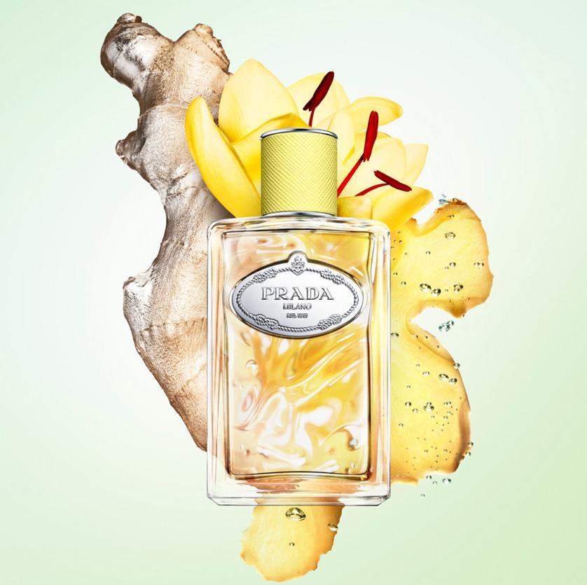 Les infusions gingembre eau de parfum