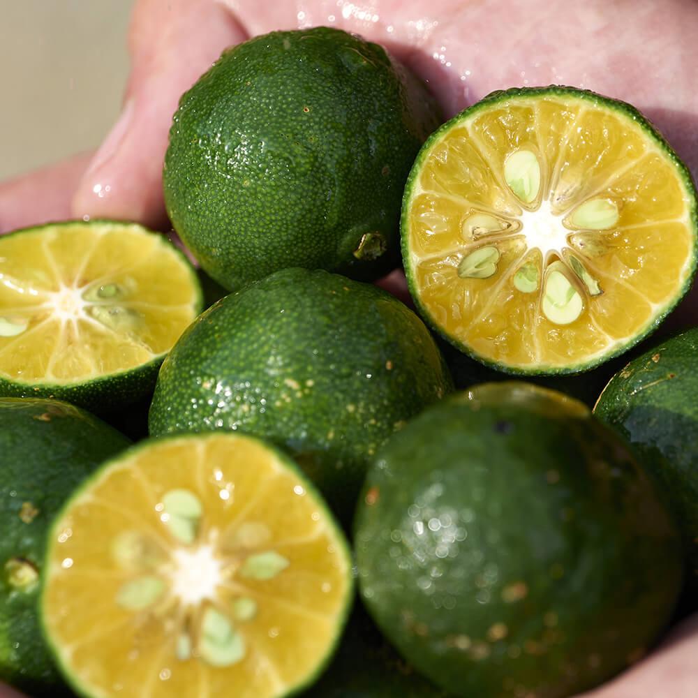 Waso shikulime gel-to-oil cleanser