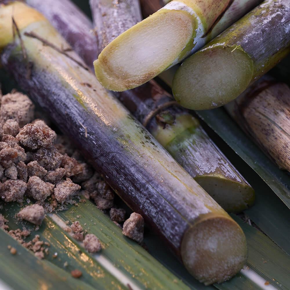 Waso satocane pore purifying scrub mask