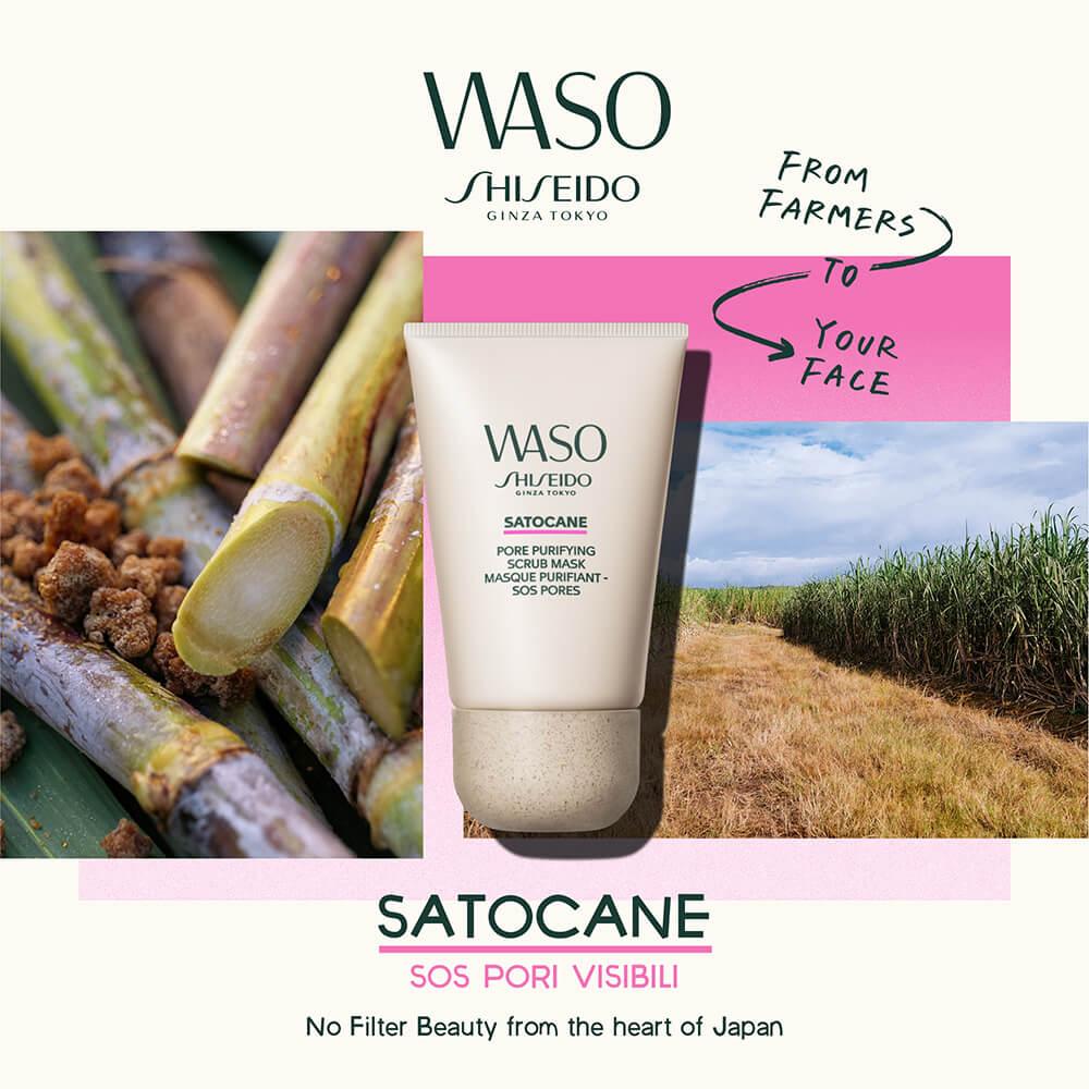Waso satocane pore purifying scrub mask