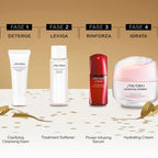 Essential energy holiday kit