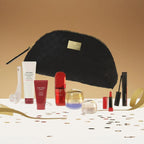 Shiseido blockbuster vanity kit