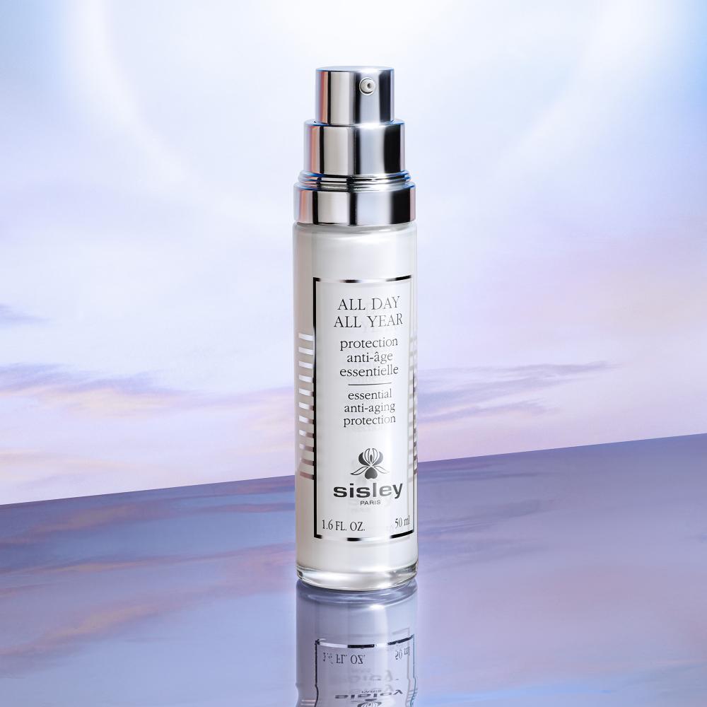 All day all year new