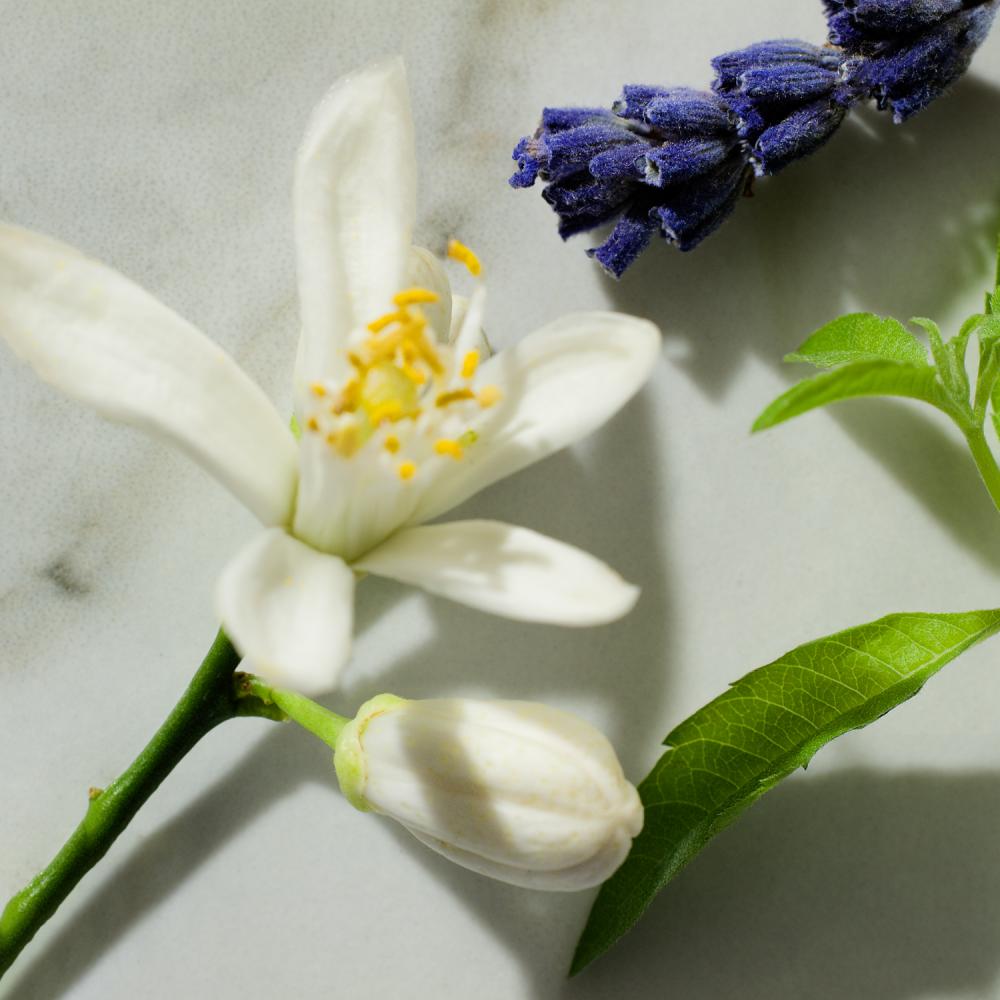 Libre eau de toilette