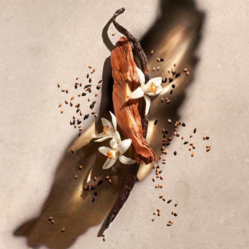 Zadig eau de parfum ricarica