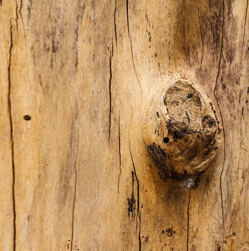 Profumatore per ambienti al sandalo