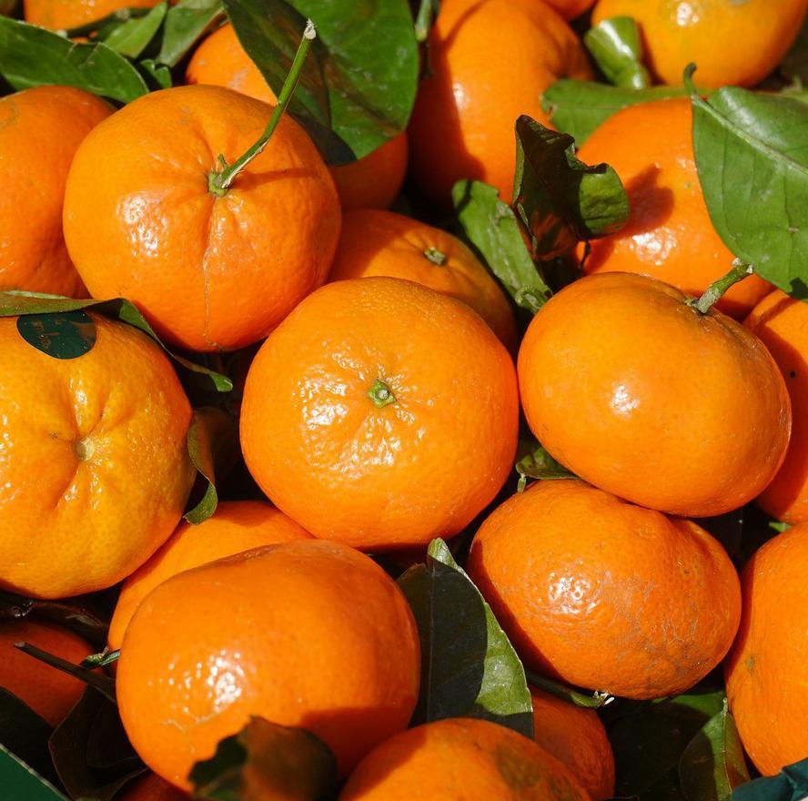 Profumatore per ambienti al mandarino