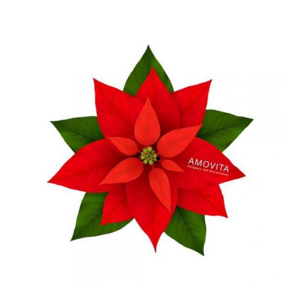 Veravita stella di natale cofanetto