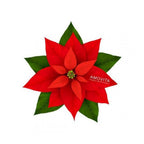 Veravita stella di natale cofanetto