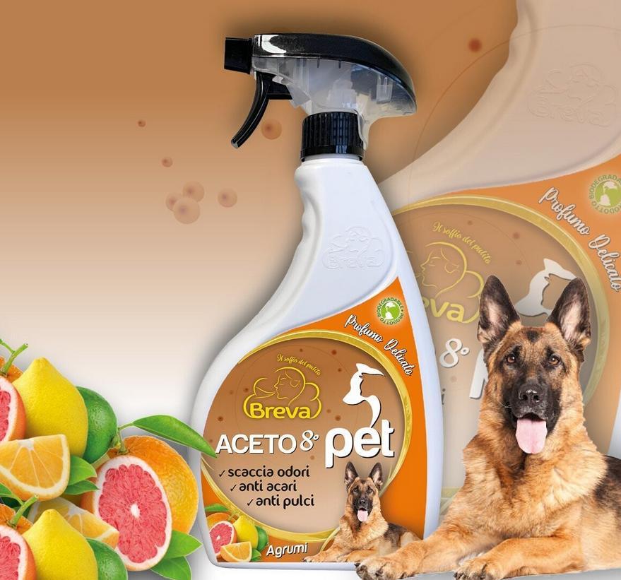 Aceto 8° pet agrumi